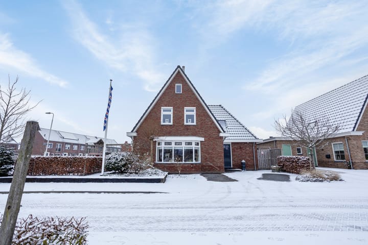 Foto 3 van Binnenkruier 1