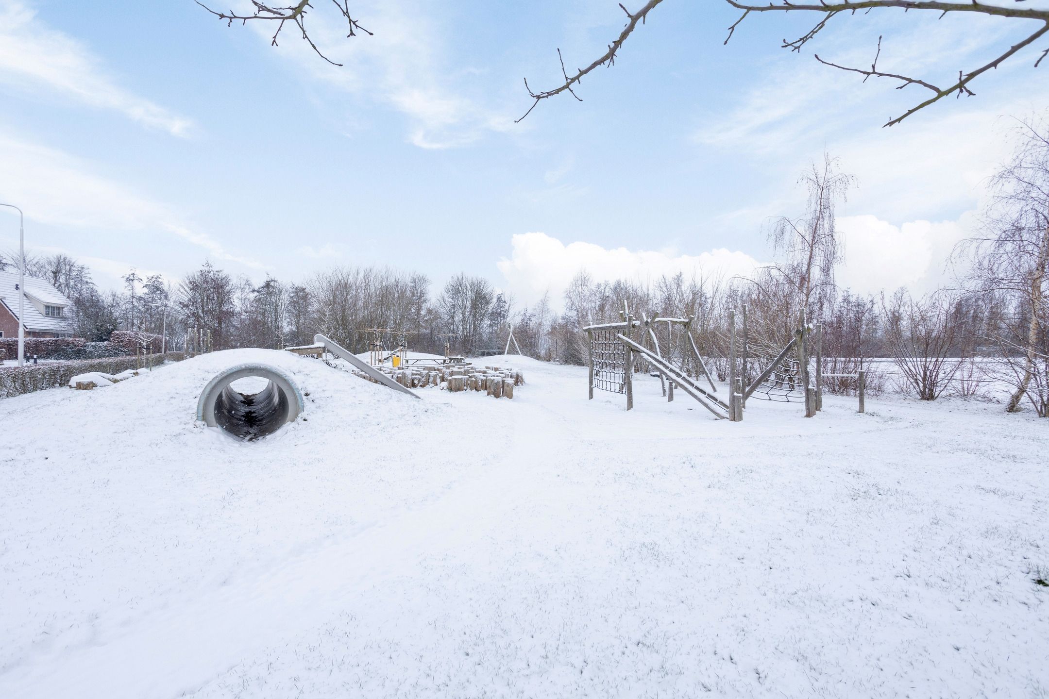 Foto 48 van Binnenkruier 1