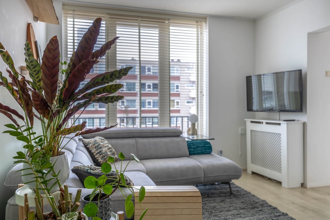 Photo 11 of Spaaklaan 17