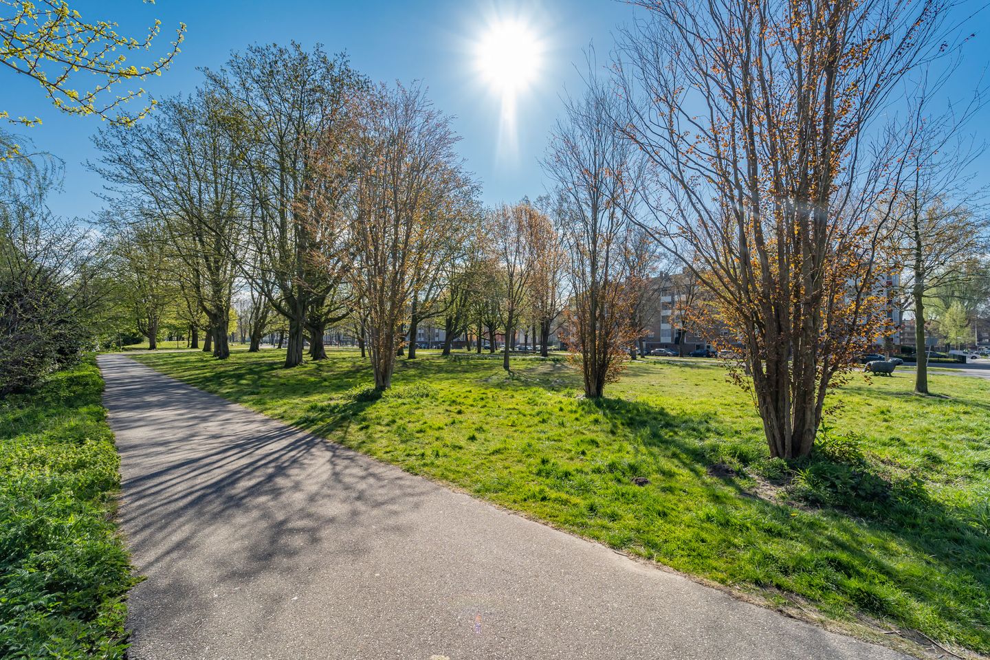 Foto 34 van Korte Water 228