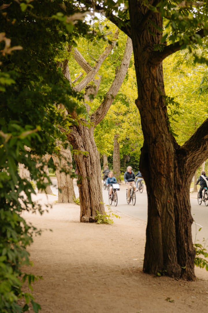 Photo 29 of Waldeck Pyrmontlaan 4-1