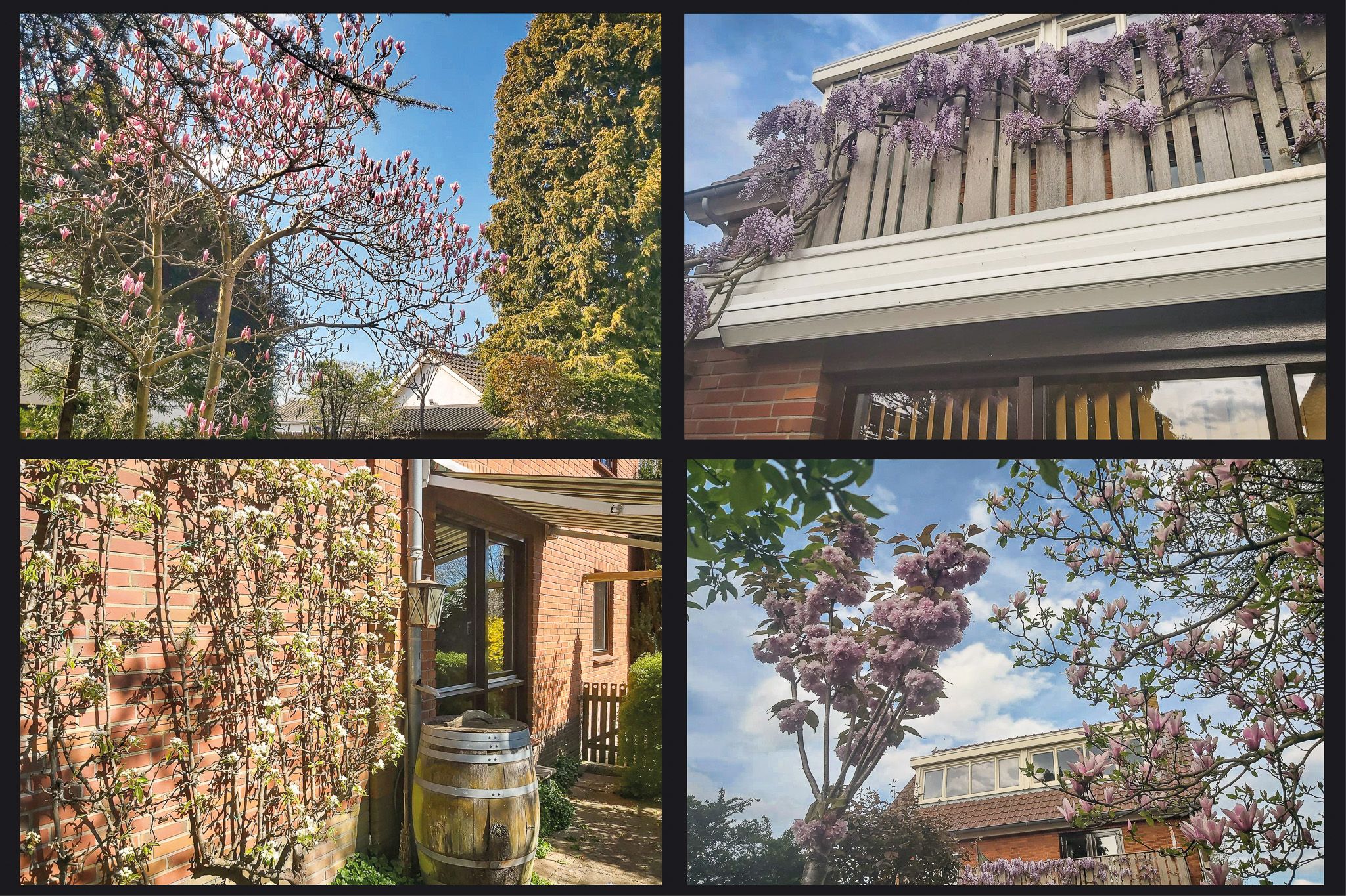 Photo 54 of Lindelaan 11