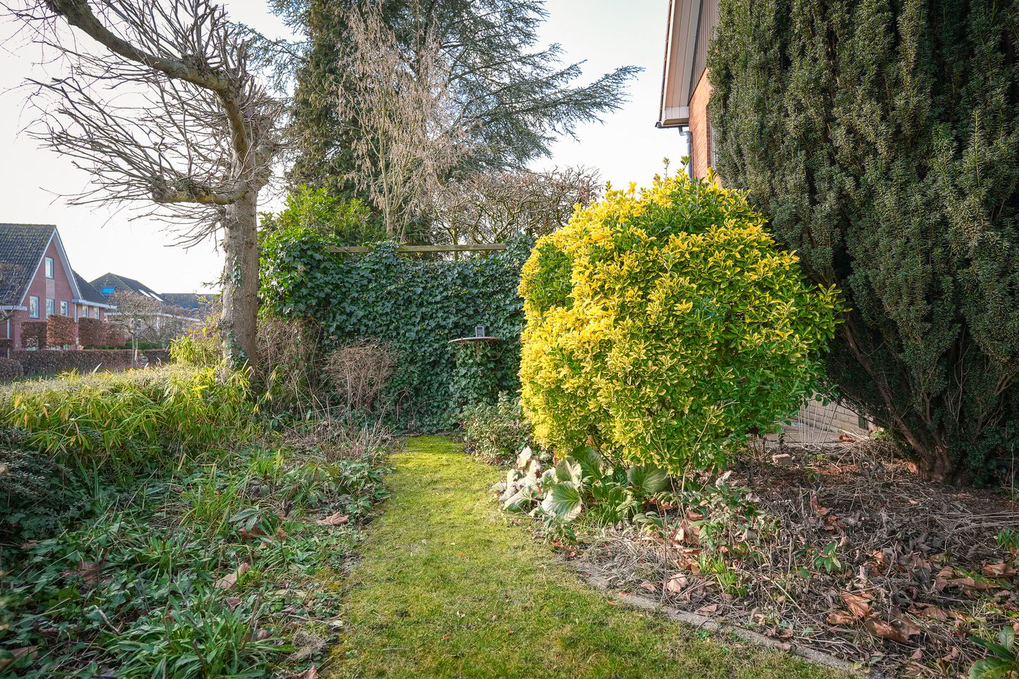 Photo 55 of Lindelaan 11