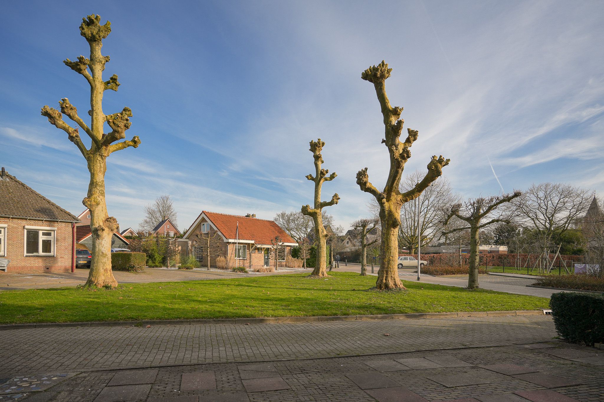 Photo 63 of Lindelaan 11