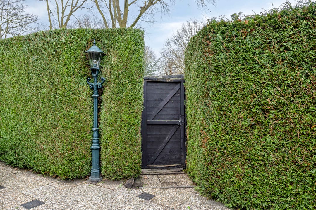 Photo 47 of Wissingehof 23