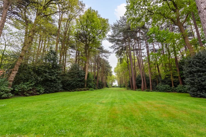 Photo 4 of Laan van Pluymestein 30