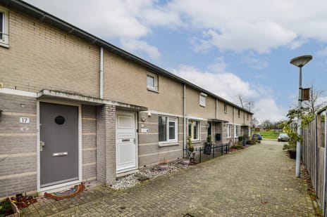 undefined main image