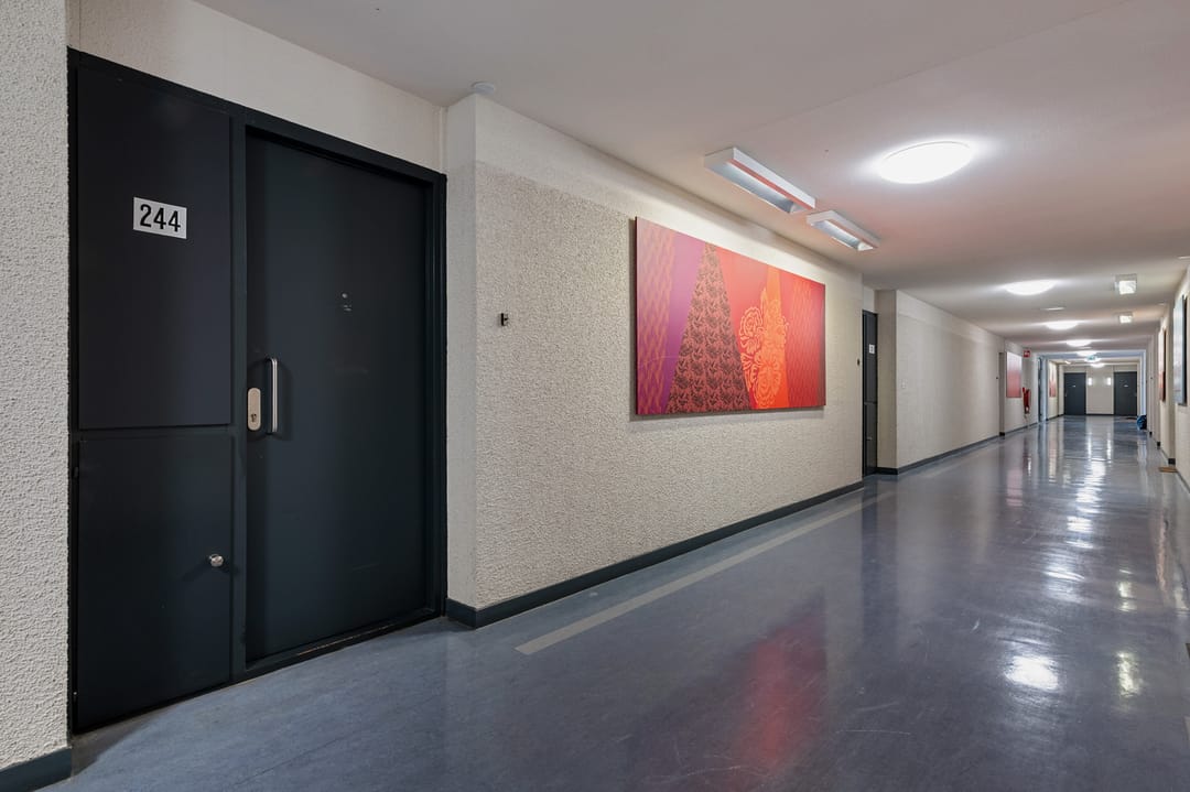 Foto 8 van Laan van Vollenhove 244