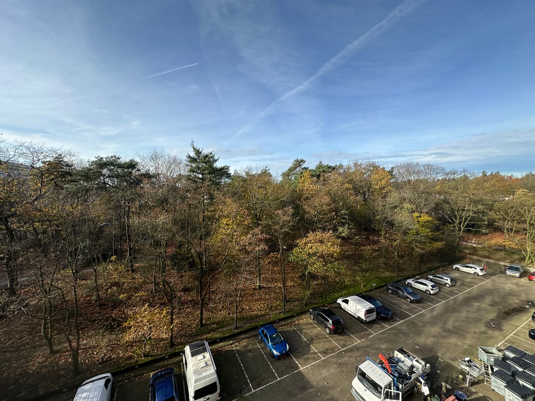 Foto 16 van Laan van Vollenhove 244