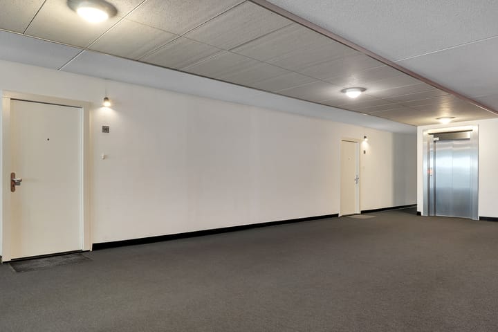 Foto 20 van Sterrenkroos 141