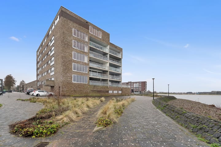 Foto 25 van Sterrenkroos 141