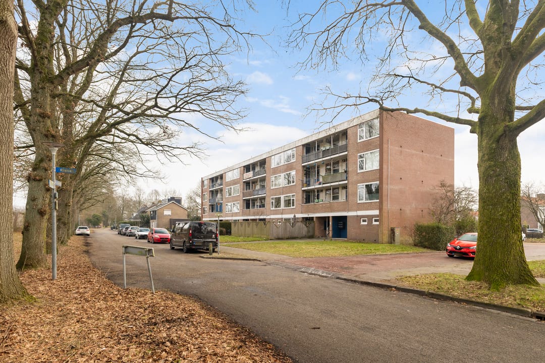 Photo 28 of Gouwe 74