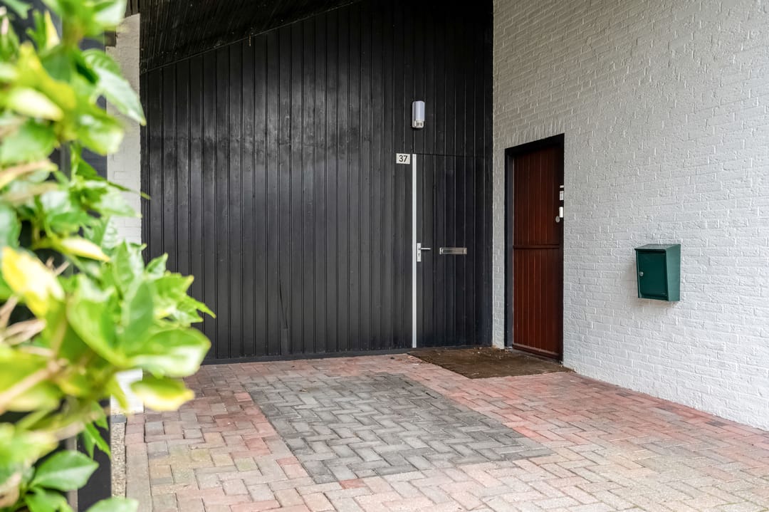 Photo 8 of Woldzoom 37