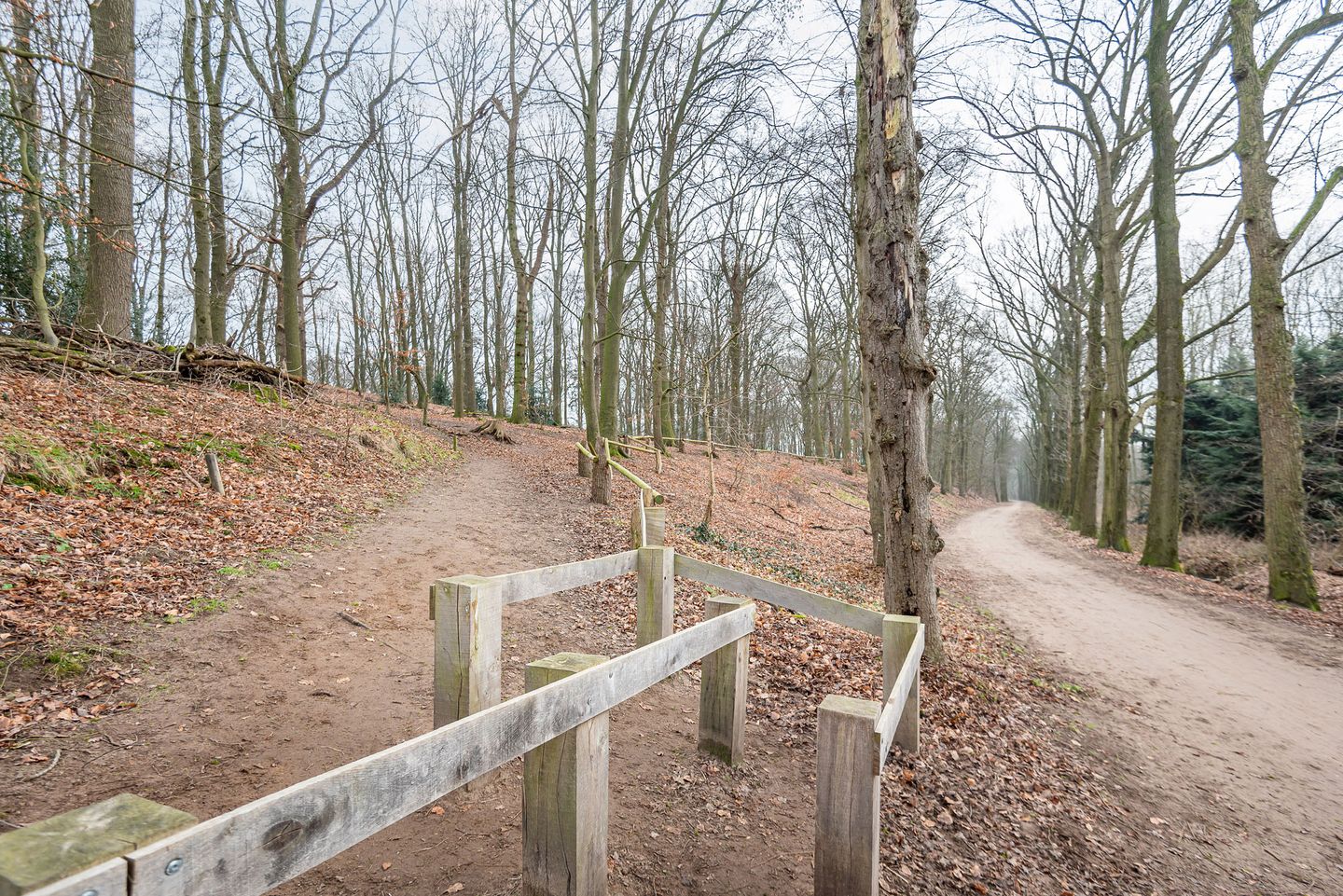 Foto 34 van Sint Jorisstraat 17