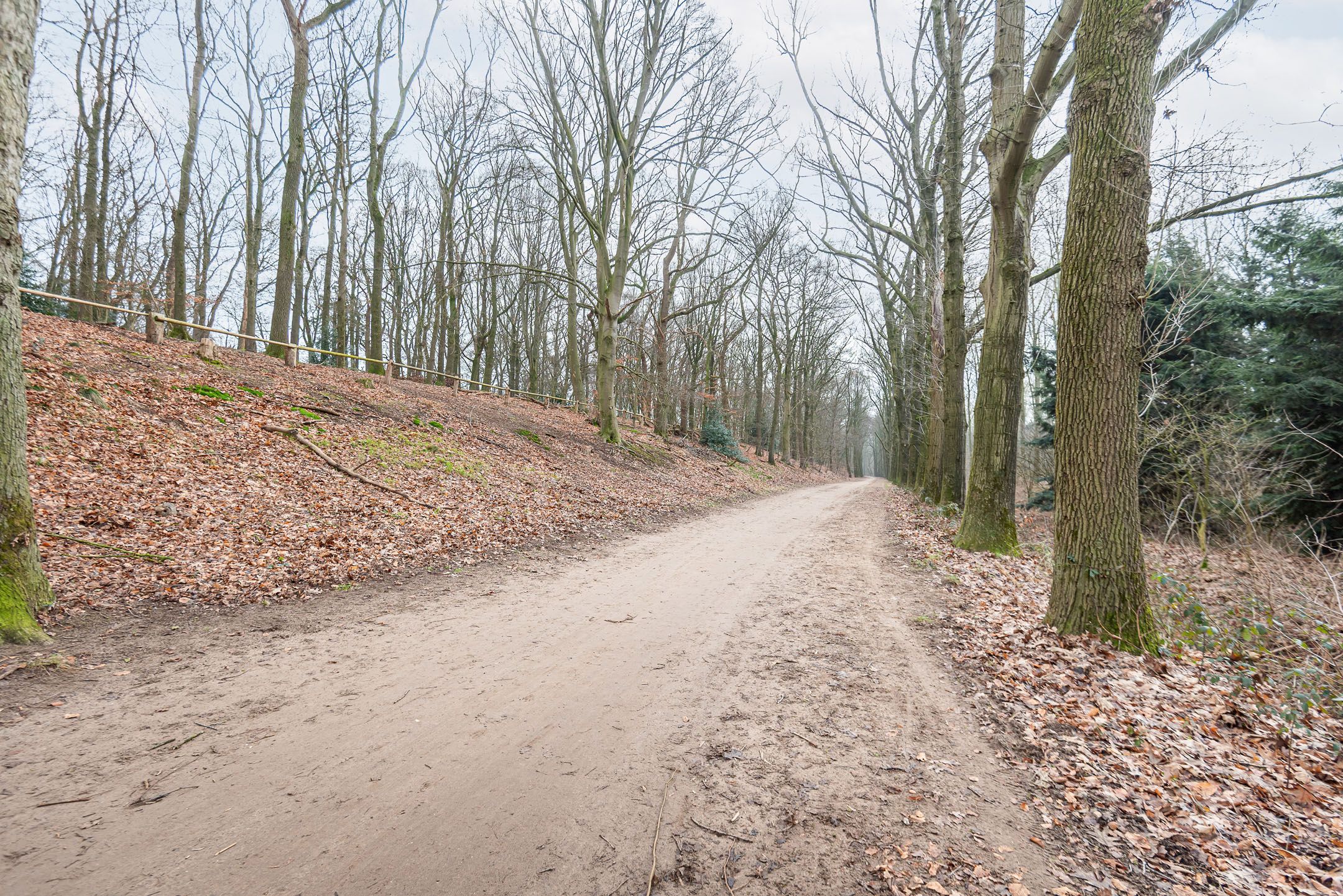 Foto 33 van Sint Jorisstraat 17