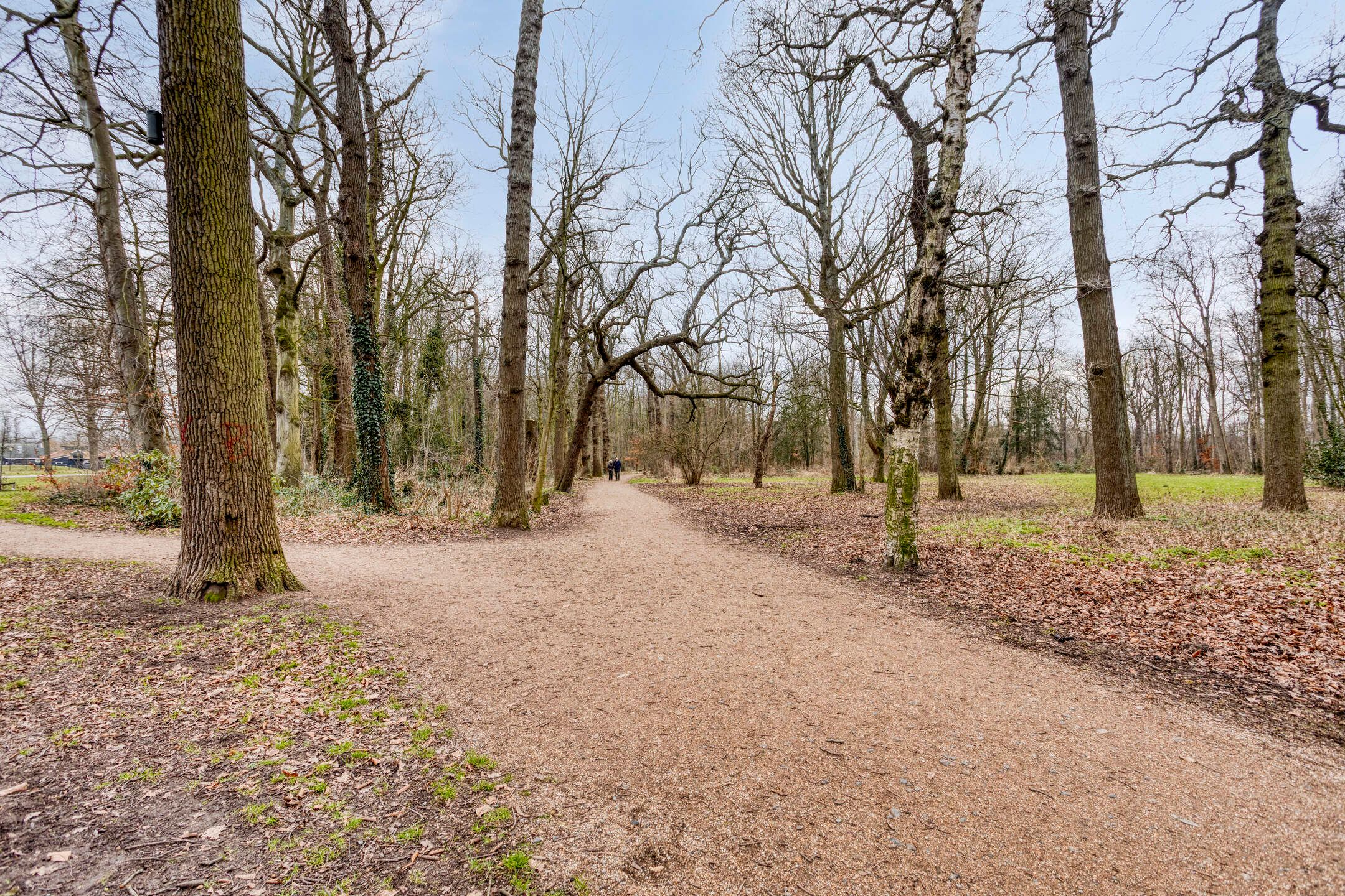 Photo 42 of Laurens Baecklaan 10