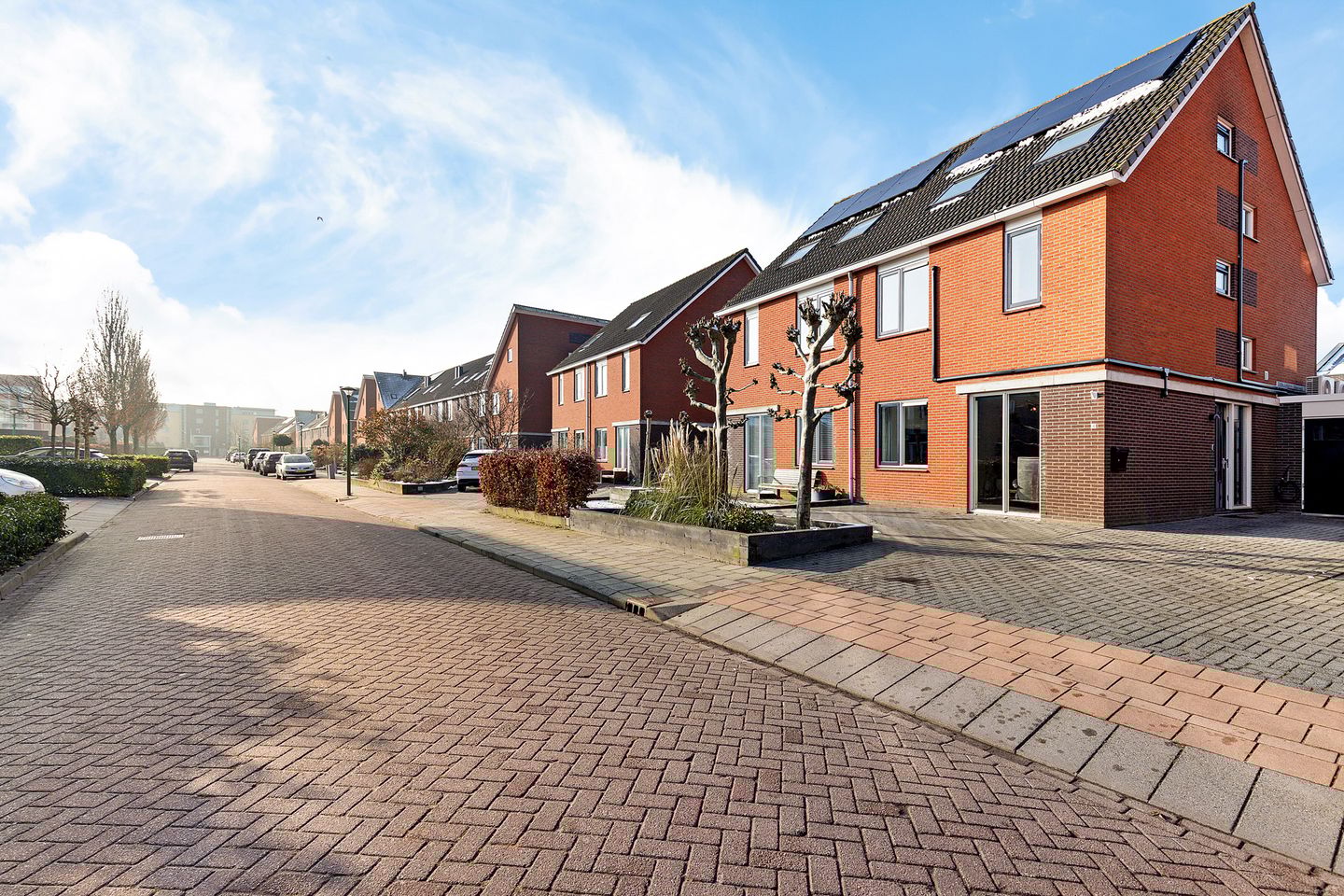 Foto 40 van Dagpauwoog 4