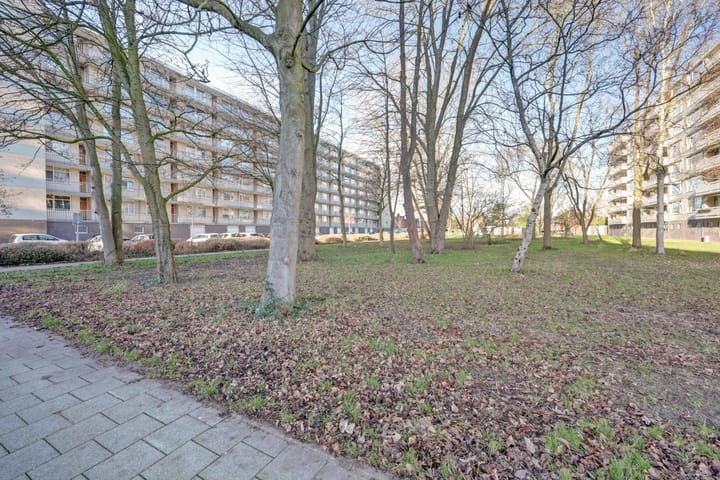 Photo 32 of Everaertstraat 337