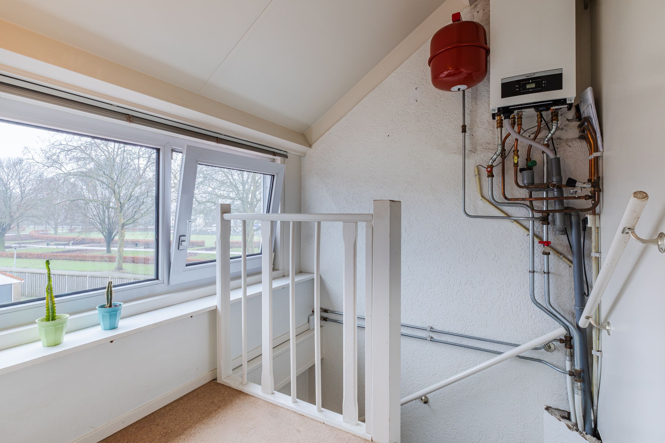 Foto 30 van Orchideestraat 4