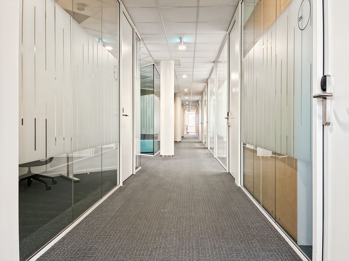 Bekijk foto 3 van Pettelaarpark 84