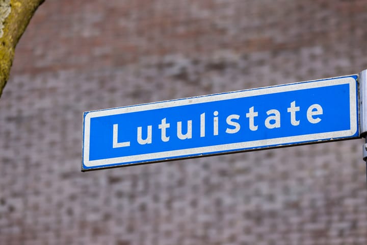 Foto 4 van Lutulistate 11