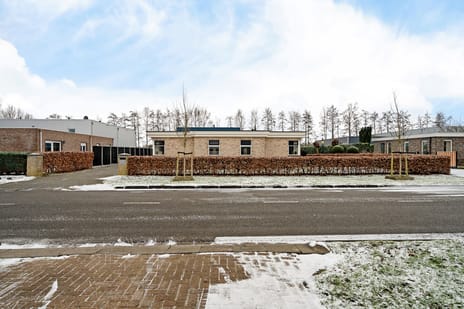 undefined main image