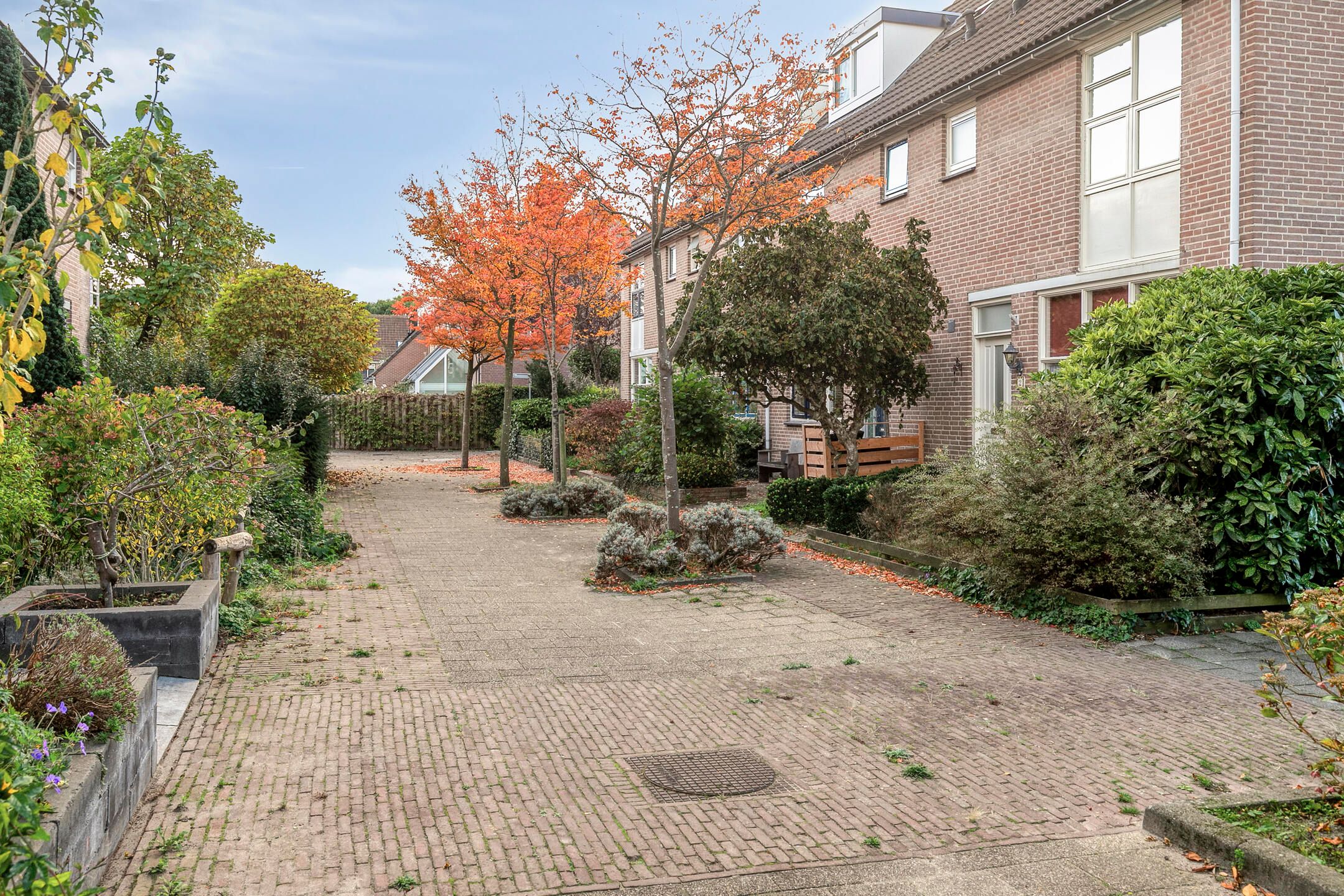 Photo 9 of Richard Holpad 3