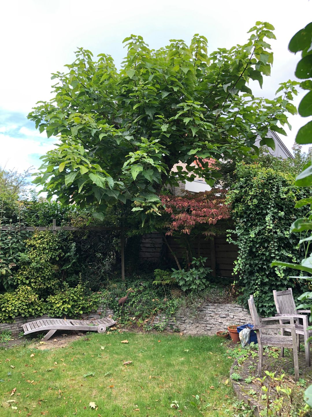 Foto 41 van Pater Blommaertlaan 35