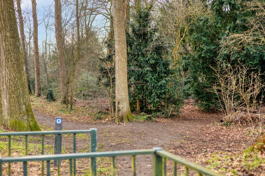 Foto 46 van Pater Blommaertlaan 35