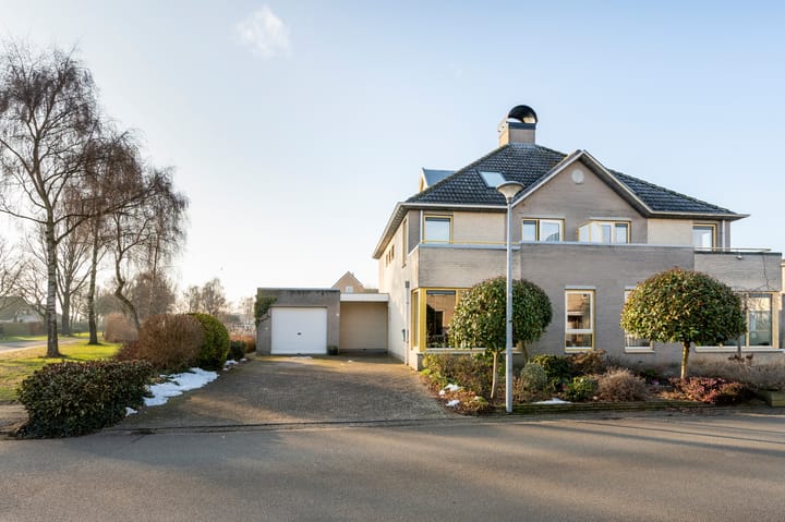 Grijskopspecht 30 main image