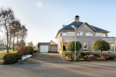 Grijskopspecht thumbnail