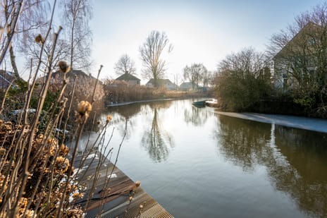 Grijskopspecht 30 tertiary image