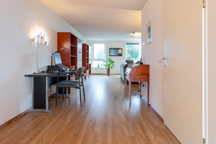 Photo 4 of Grijskopspecht 30