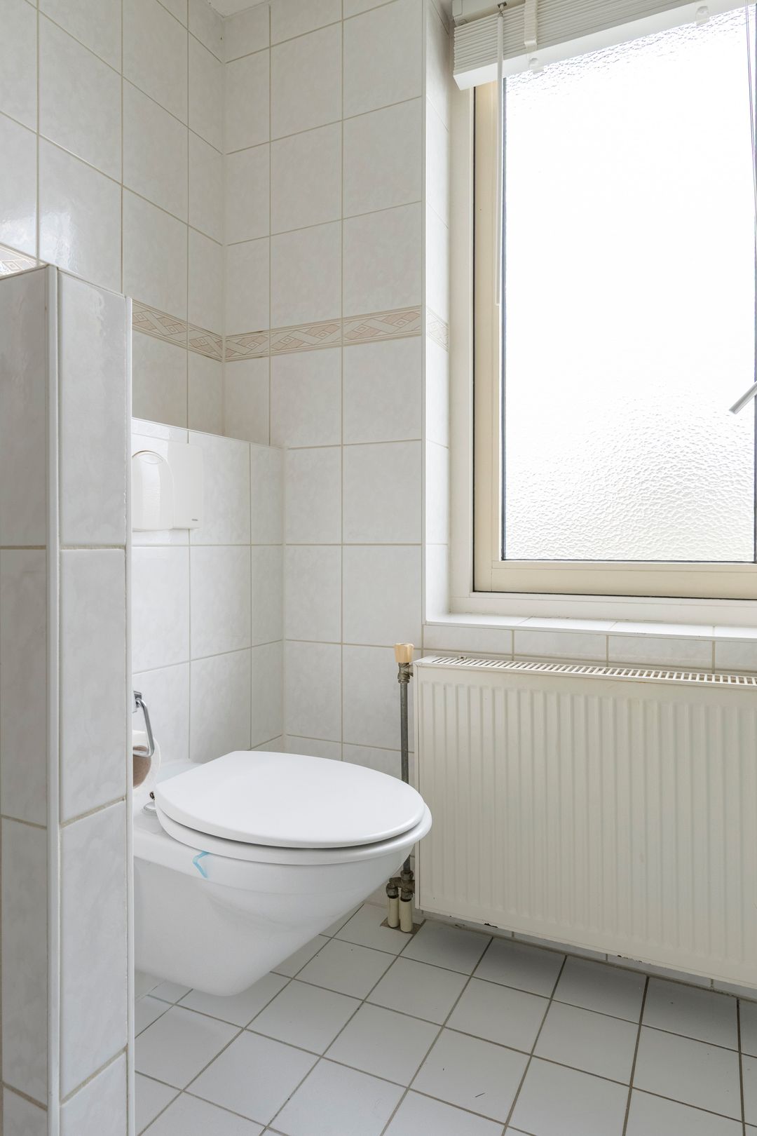 Foto 26 van Grijskopspecht 30