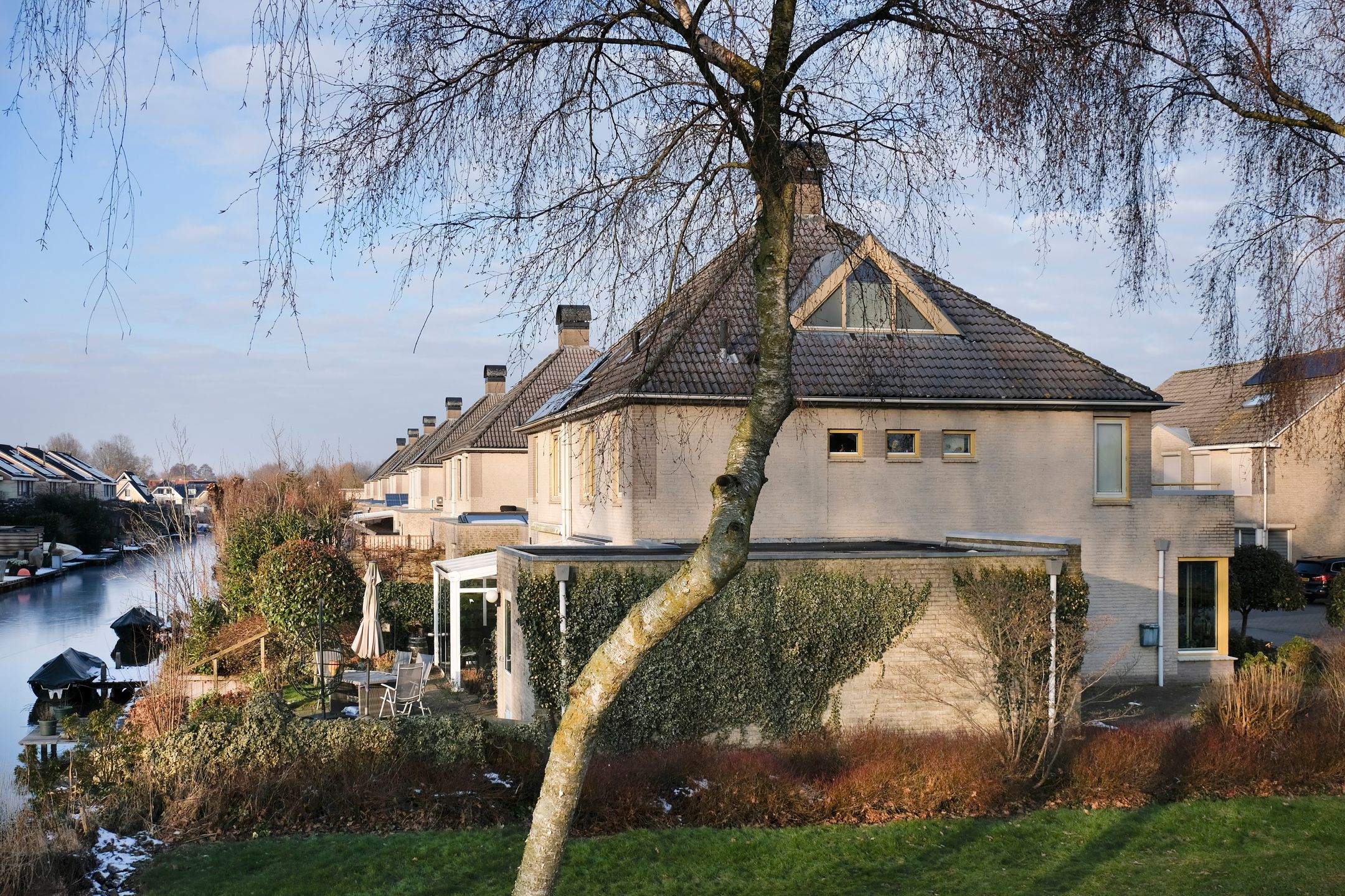 Foto 42 van Grijskopspecht 30