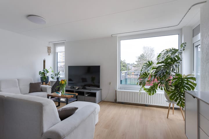 Foto 2 van Boeier 37