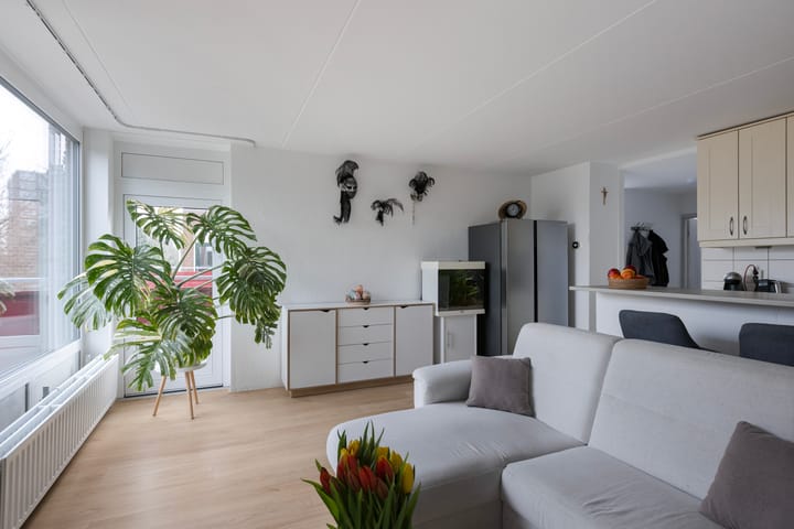 Foto 3 van Boeier 37