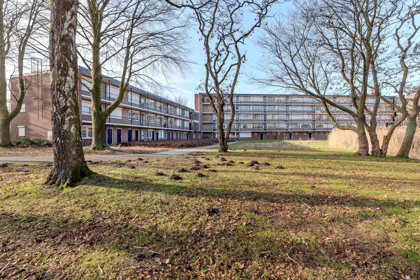 Foto 29 van Hertogenlaan 374