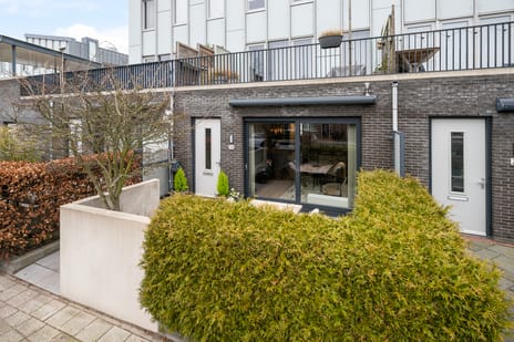 undefined main image