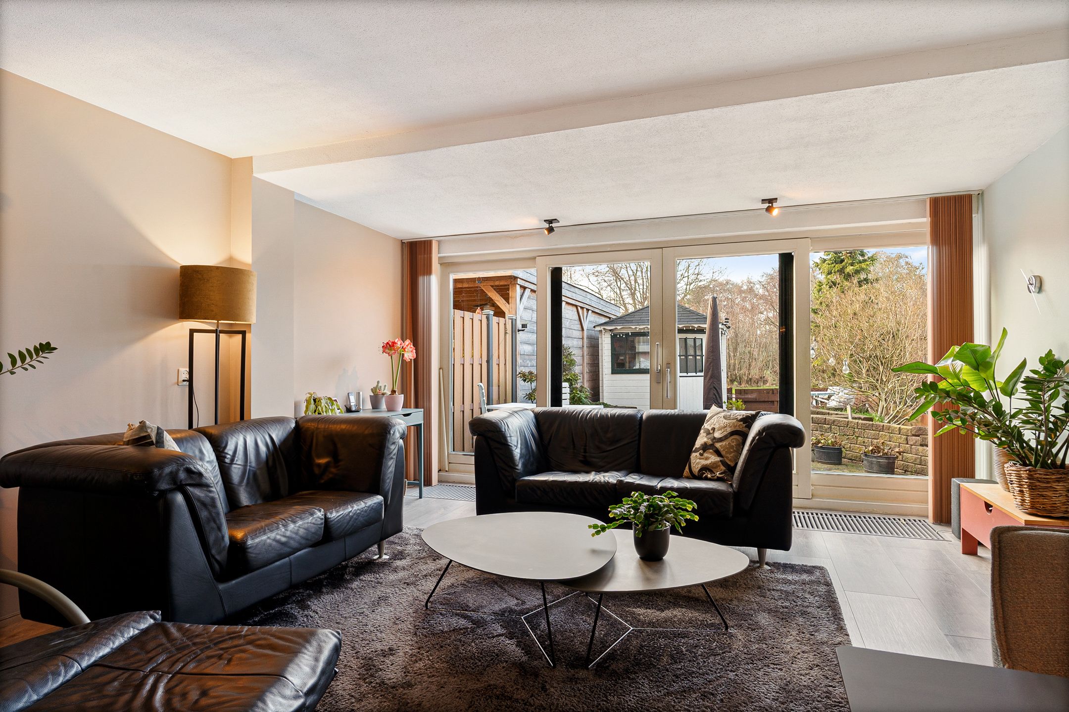 Photo 12 of Ponyweide 40