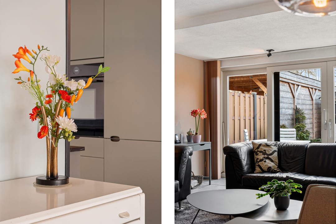 Photo 13 of Ponyweide 40