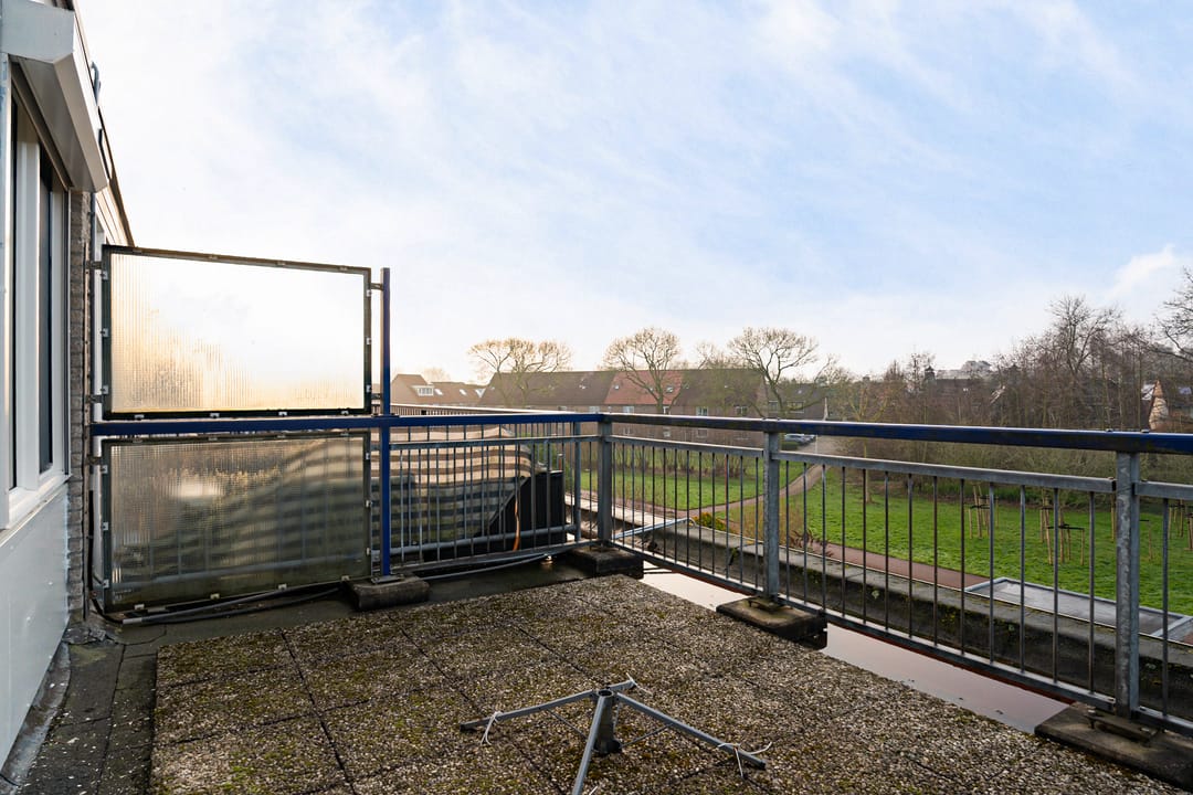 Photo 41 of Ponyweide 40