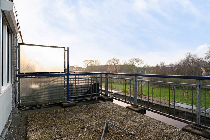 Foto 41 van Ponyweide 40