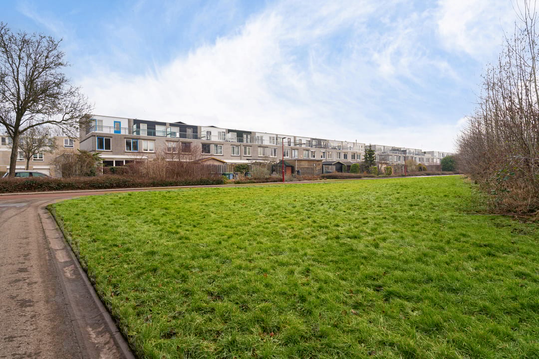 Photo 46 of Ponyweide 40