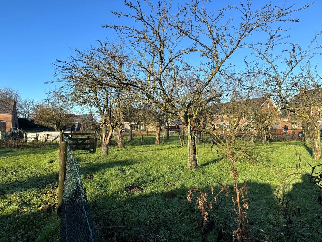 Foto 7 van 44 R I-straat 2-A