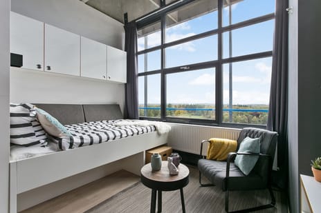 undefined main image