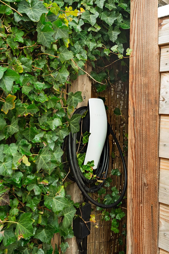 Photo 25 of Roemer Visscherlaan 24