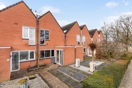 undefined main image