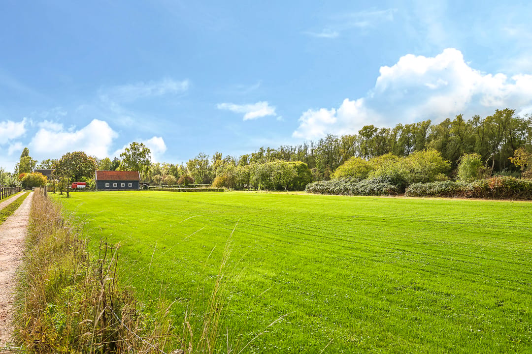 Foto 91 van Drielse Rijndijk 3