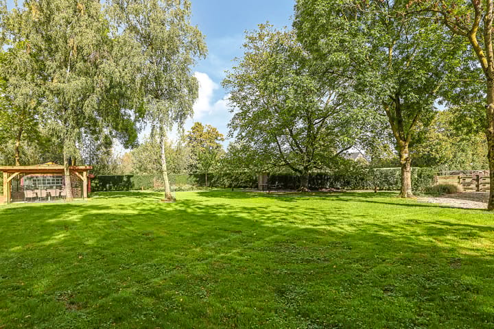 Foto 115 van Drielse Rijndijk 3